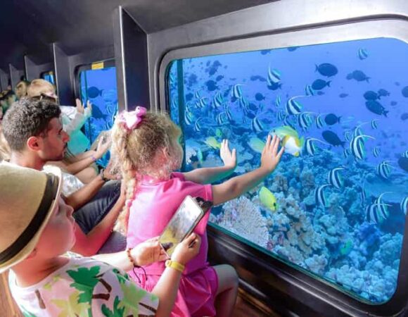 Family Adventures: Why Submarine Tours with Royal Sea Scope Are Perfect for Kids