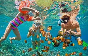 A Beginner’s Guide to Snorkeling in the Red Sea